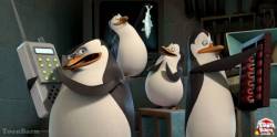 Penguins of Madagascar Operation Ducky SD (movie)